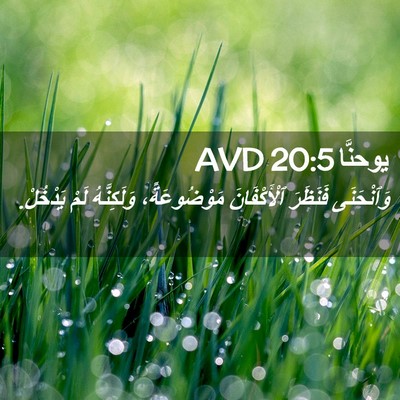 Picture 02 - يوحنَّا 20:5 AVD - وَٱنْحَنَى فَنَظَرَ - Bible Verse Picture