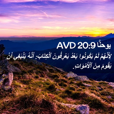 Picture 02 - يوحنَّا 20:9 AVD - لِأَنَّهُمْ لَمْ - Bible Verse Picture