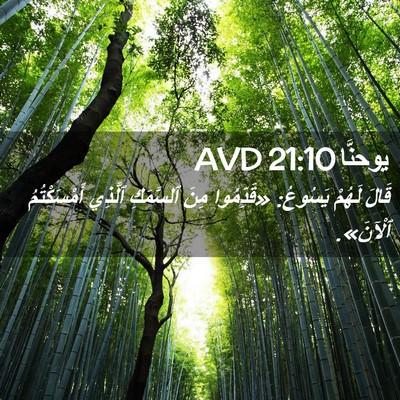 Picture 02 - يوحنَّا 21:10 AVD - قَالَ لَهُمْ يَسُوعُ: - Bible Verse Picture