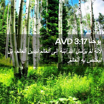 Picture 02 - يوحنَّا 3:17 AVD - لِأَنَّهُ لَمْ يُرْسِلِ - Bible Verse Picture