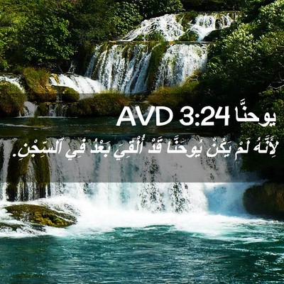 Picture 02 - يوحنَّا 3:24 AVD - لِأَنَّهُ لَمْ يَكُنْ - Bible Verse Picture