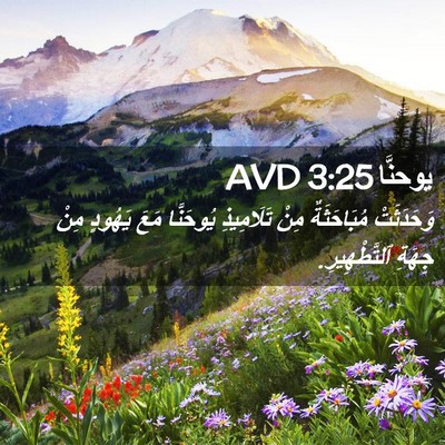 Picture 02 - يوحنَّا 3:25 AVD - وَحَدَثَتْ مُبَاحَثَةٌ - Bible Verse Picture
