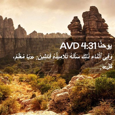 Picture 02 - يوحنَّا 4:31 AVD - وَفِي أَثْنَاءِ ذَلِكَ - Bible Verse Picture