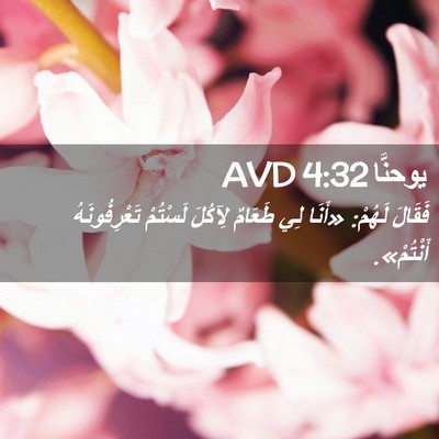 Picture 02 - يوحنَّا 4:32 AVD - فَقَالَ لَهُمْ: «أَنَا لِي - Bible Verse Picture