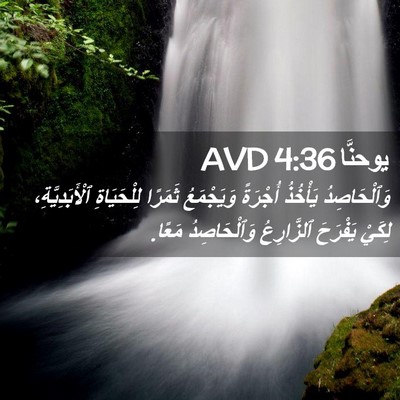 Picture 02 - يوحنَّا 4:36 AVD - وَٱلْحَاصِدُ يَأْخُذُ - Bible Verse Picture