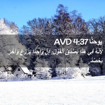 Picture 02 - يوحنَّا 4:37 AVD - لِأَنَّهُ فِي هَذَا - Bible Verse Picture