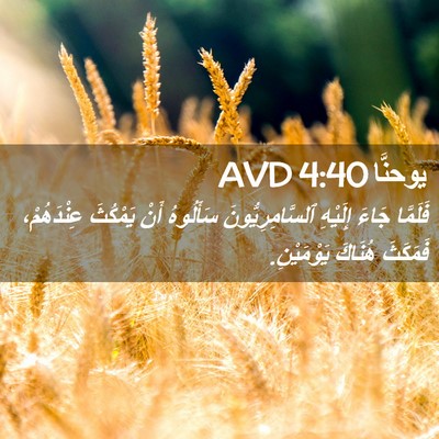 Picture 02 - يوحنَّا 4:40 AVD - فَلَمَّا جَاءَ إِلَيْهِ - Bible Verse Picture