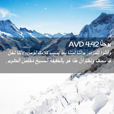 Picture 02 - يوحنَّا 4:42 AVD - وَقَالُوا لِلْمَرْأَةِ: - Bible Verse Picture