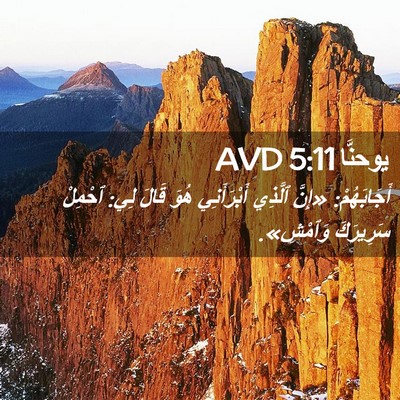 Picture 02 - يوحنَّا 5:11 AVD - أَجَابَهُمْ: «إِنَّ - Bible Verse Picture