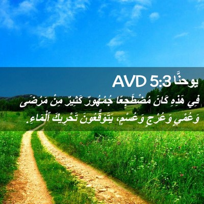 Picture 02 - يوحنَّا 5:3 AVD - فِي هَذِهِ كَانَ - Bible Verse Picture