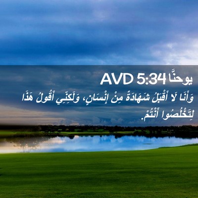 Picture 02 - يوحنَّا 5:34 AVD - وَأَنَا لَا أَقْبَلُ - Bible Verse Picture