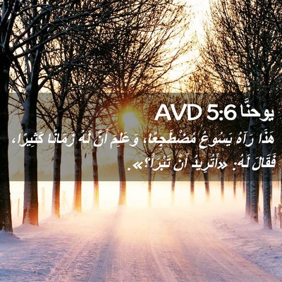 Picture 02 - يوحنَّا 5:6 AVD - هَذَا رَآهُ يَسُوعُ - Bible Verse Picture