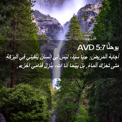 Picture 02 - يوحنَّا 5:7 AVD - أَجَابَهُ ٱلْمَرِيضُ: «يَا - Bible Verse Picture