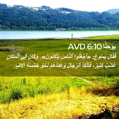 Picture 02 - يوحنَّا 6:10 AVD - فَقَالَ يَسُوعُ: - Bible Verse Picture