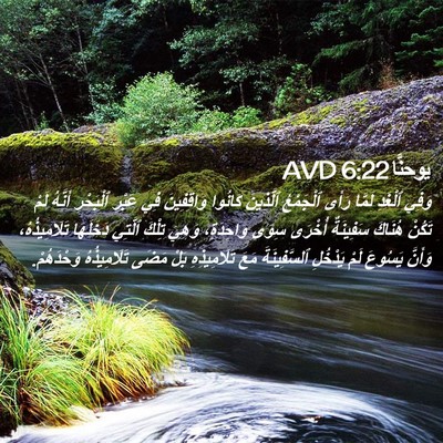 Picture 02 - يوحنَّا 6:22 AVD - وَفِي ٱلْغَدِ لَمَّا رَأَى - Bible Verse Picture