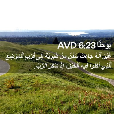 Picture 02 - يوحنَّا 6:23 AVD - غَيْرَ أَنَّهُ جَاءَتْ - Bible Verse Picture
