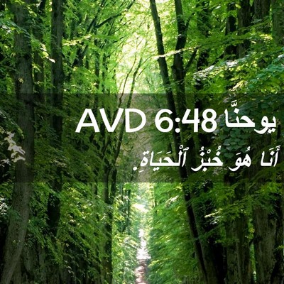 Picture 02 - يوحنَّا 6:48 AVD - أَنَا هُوَ خُبْزُ - Bible Verse Picture