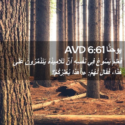 Picture 02 - يوحنَّا 6:61 AVD - فَعَلِمَ يَسُوعُ فِي - Bible Verse Picture