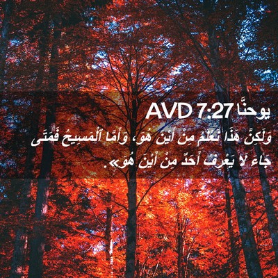 Picture 02 - يوحنَّا 7:27 AVD - وَلَكِنَّ هَذَا نَعْلَمُ - Bible Verse Picture