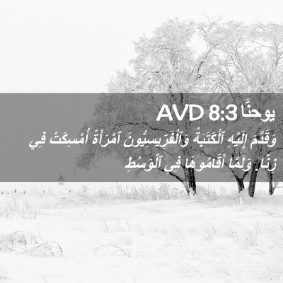 Picture 02 - يوحنَّا 8:3 AVD - وَقَدَّمَ إِلَيْهِ - Bible Verse Picture