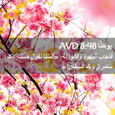Picture 02 - يوحنَّا 8:48 AVD - فَأَجَاب ٱلْيَهُودُ - Bible Verse Picture