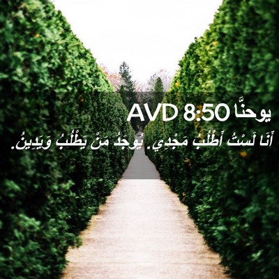 Picture 02 - يوحنَّا 8:50 AVD - أَنَا لَسْتُ أَطْلُبُ - Bible Verse Picture