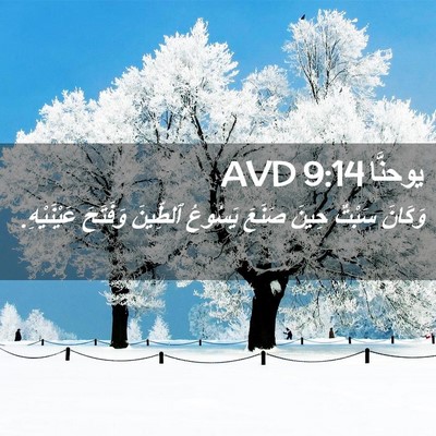 Picture 02 - يوحنَّا 9:14 AVD - وَكَانَ سَبْتٌ حِينَ - Bible Verse Picture