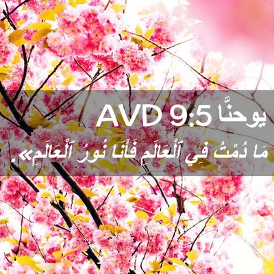 Picture 02 - يوحنَّا 9:5 AVD - مَا دُمْتُ فِي ٱلْعَالَمِ - Bible Verse Picture