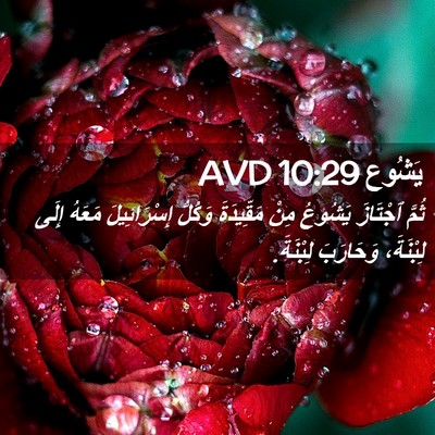 Picture 02 - يَشُوع 10:29 AVD - ثُمَّ ٱجْتَازَ يَشُوعُ - Bible Verse Picture