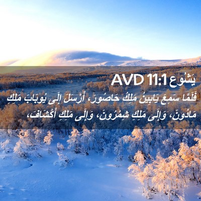 Picture 02 - يَشُوع 11:1 AVD - فَلَمَّا سَمِعَ يَابِينُ - Bible Verse Picture