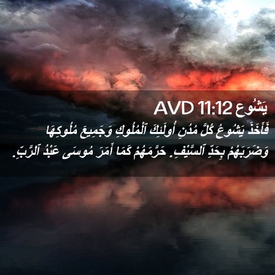 Picture 02 - يَشُوع 11:12 AVD - فَأَخَذَ يَشُوعُ كُلَّ - Bible Verse Picture