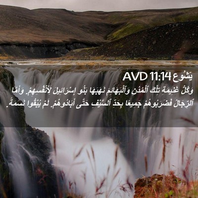 Picture 02 - يَشُوع 11:14 AVD - وَكُلُّ غَنِيمَةِ تِلْكَ - Bible Verse Picture