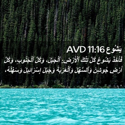 Picture 02 - يَشُوع 11:16 AVD - فَأَخَذَ يَشُوعُ كُلَّ - Bible Verse Picture