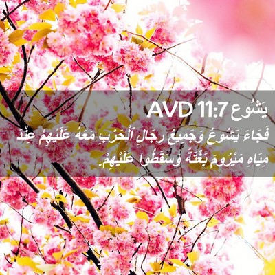 Picture 02 - يَشُوع 11:7 AVD - فَجَاءَ يَشُوعُ وَجَمِيعُ - Bible Verse Picture