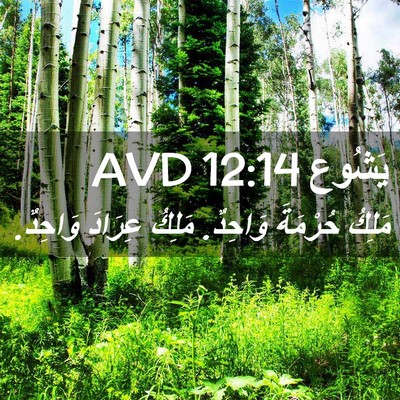 Picture 02 - يَشُوع 12:14 AVD - مَلِكُ حُرْمَةَ وَاحِدٌ. - Bible Verse Picture