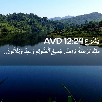 Picture 02 - يَشُوع 12:24 AVD - مَلِكُ تِرْصَةَ وَاحِدٌ. - Bible Verse Picture
