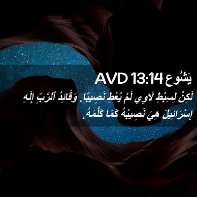 Picture 02 - يَشُوع 13:14 AVD - لَكِنْ لِسِبْطِ لَاوِي - Bible Verse Picture