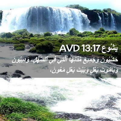 Picture 02 - يَشُوع 13:17 AVD - حَشْبُونَ وَجَمِيعَ - Bible Verse Picture