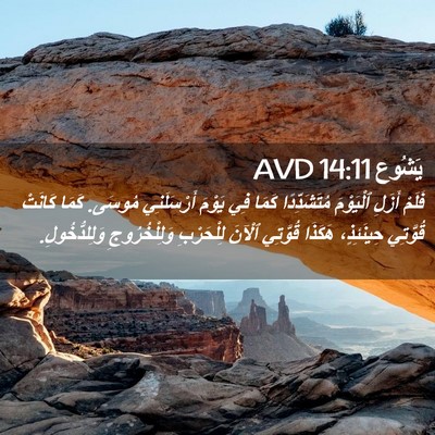 Picture 02 - يَشُوع 14:11 AVD - فَلَمْ أَزَلِ ٱلْيَوْمَ - Bible Verse Picture