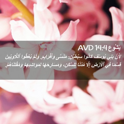 Picture 02 - يَشُوع 14:4 AVD - لِأَنَّ بَنِي يُوسُفَ - Bible Verse Picture