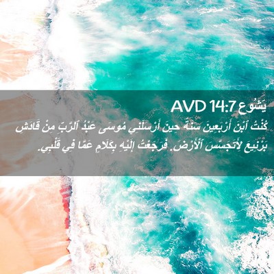 Picture 02 - يَشُوع 14:7 AVD - كُنْتُ ٱبْنَ أَرْبَعِينَ - Bible Verse Picture