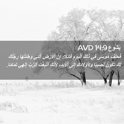 Picture 02 - يَشُوع 14:9 AVD - فَحَلَفَ مُوسَى فِي ذَلِكَ - Bible Verse Picture