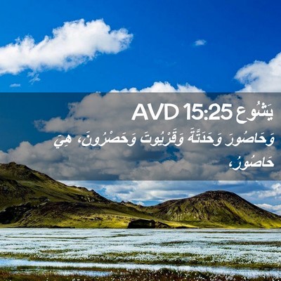 Picture 02 - يَشُوع 15:25 AVD - وَحَاصُورَ وَحَدَتَّةَ - Bible Verse Picture