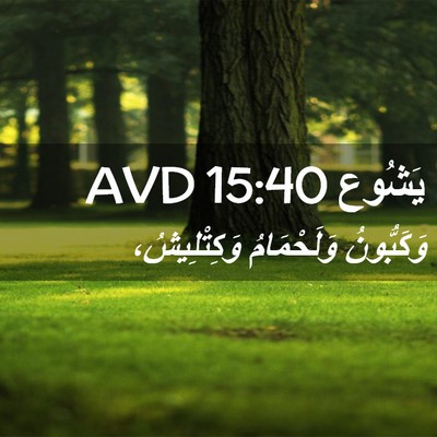 Picture 02 - يَشُوع 15:40 AVD - وَكَبُّونُ وَلَحْمَامُ - Bible Verse Picture
