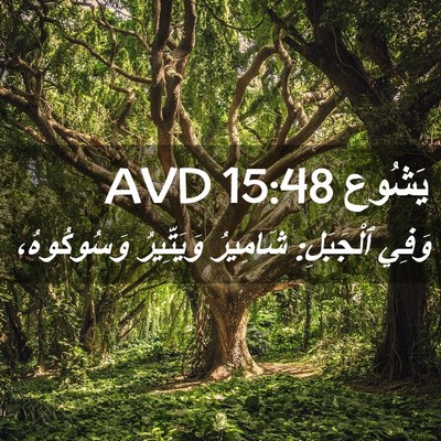 Picture 02 - يَشُوع 15:48 AVD - وَفِي ٱلْجَبَلِ: شَامِيرُ - Bible Verse Picture