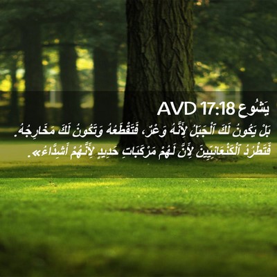 Picture 02 - يَشُوع 17:18 AVD - بَلْ يَكُونُ لَكَ - Bible Verse Picture
