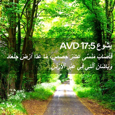 Picture 02 - يَشُوع 17:5 AVD - فَأَصَابَ مَنَسَّى عَشَرُ - Bible Verse Picture