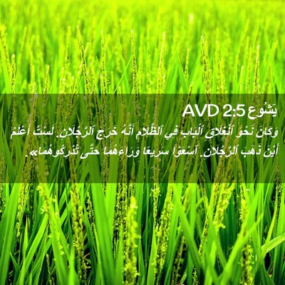 Picture 02 - يَشُوع 2:5 AVD - وَكَانَ نَحْوَ ٱنْغِلَاقِ - Bible Verse Picture