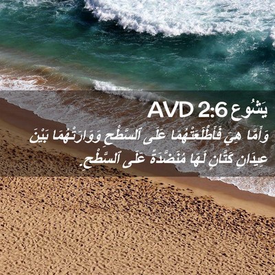 Picture 02 - يَشُوع 2:6 AVD - وَأَمَّا هِيَ - Bible Verse Picture