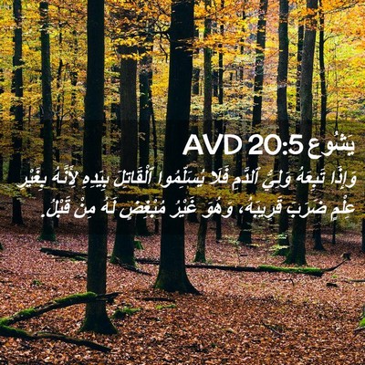 Picture 02 - يَشُوع 20:5 AVD - وَإِذَا تَبِعَهُ وَلِيُّ - Bible Verse Picture